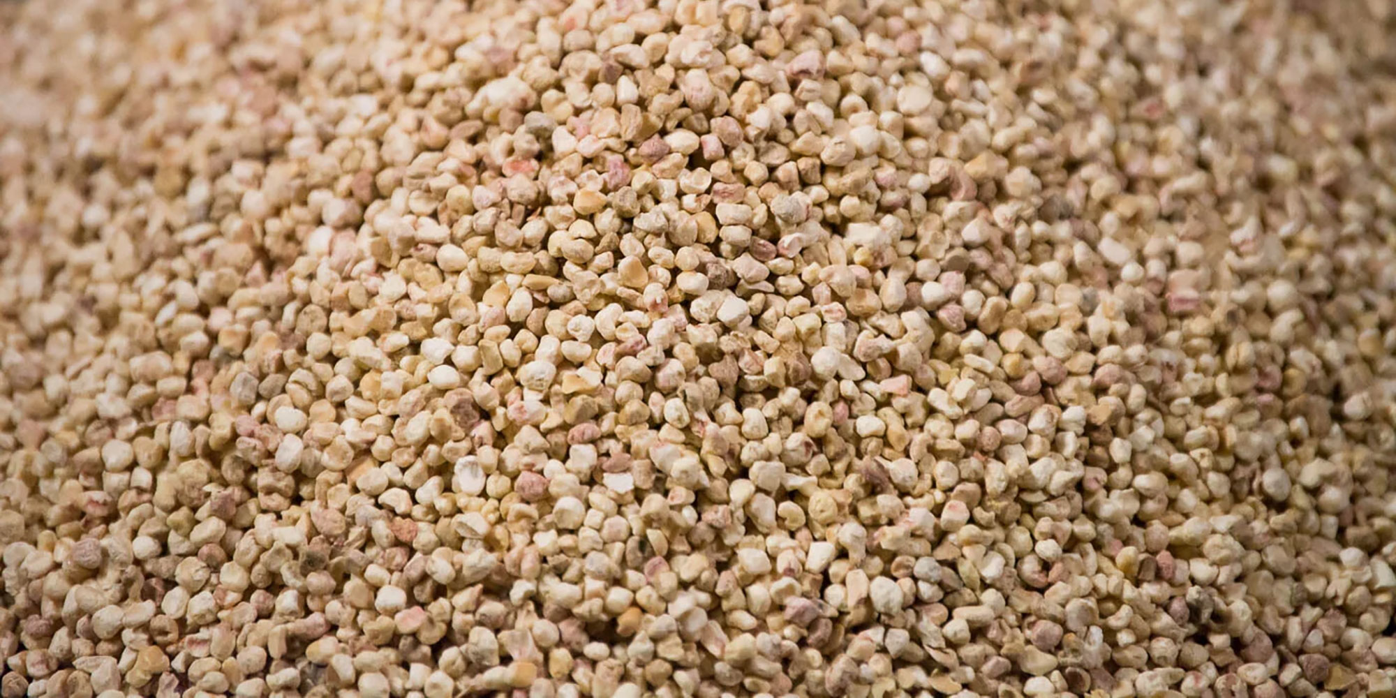 วิธีการใช้ Corn Cob